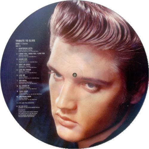 Image:Elvis-Presley-Tribute-To-Elvis-426436.jpg