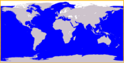 A world map shows killer whales are found throughout every ocean...
