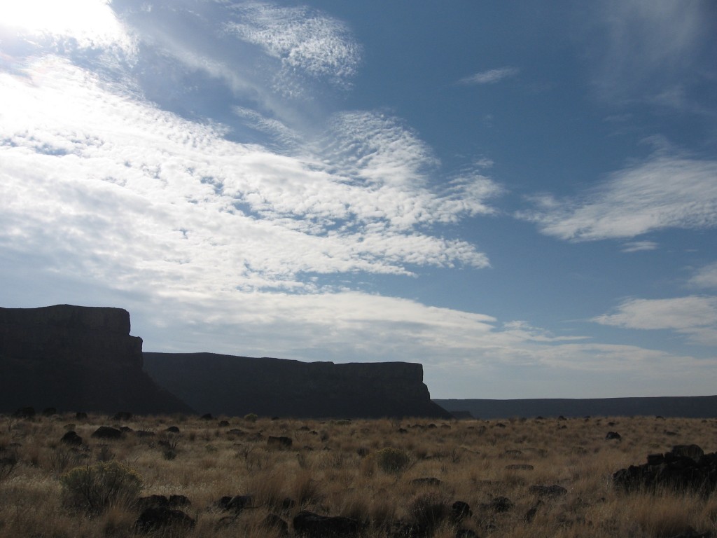 A view approximately south from Dry Falls Lake.