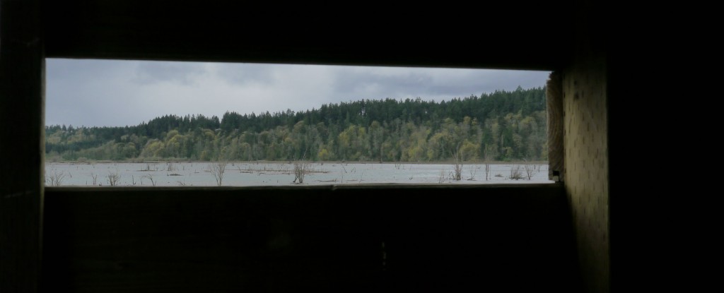 View of south hills from the Nisqually boardwalk bird blind.