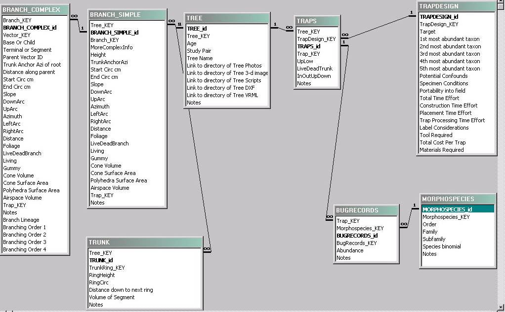 Bmw database entities #6