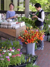 organic farm cart with flowers and vegetables