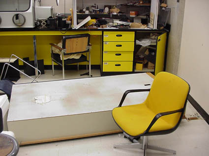 Lab,