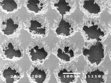 SEM image of etched nickel foil. The ragged hole edges improve the efficiency of the cell by increasing surface area.