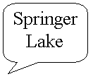 Rounded Rectangular Callout: Springer
Lake
