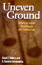Uneven Ground book image