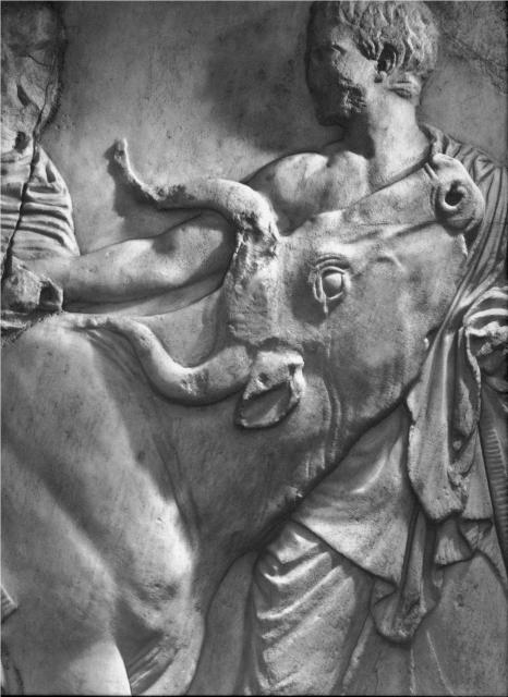 Parthenon Frieze, man and heifer from southern wall