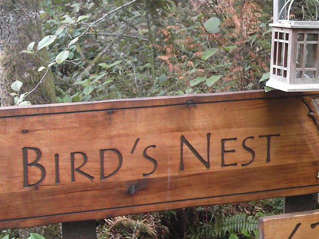 Bird's Nest learning Center
