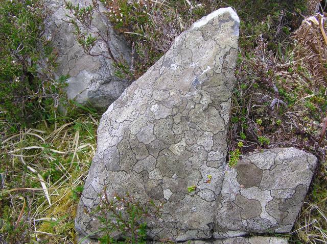 patterned rock