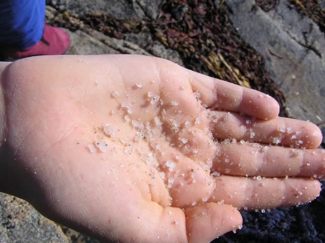 salt