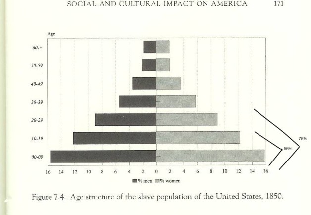 Image:Age Structure of Slaves.jpg