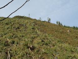 Freshly Cut Slope Part 2