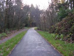 vista
