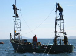 old school reefnetting