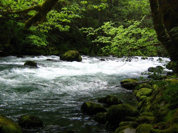 Duckabush River 3/28/07