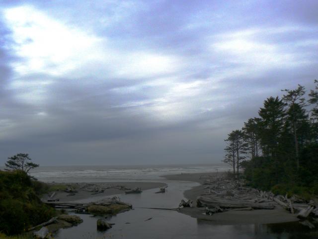 ocean--Olympic Peninsula fieldtrip