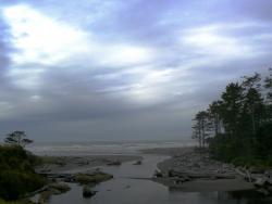 ocean--Olympic Peninsula fieldtrip