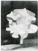 Paul Klee, Figure 99: "Fig Tree"(1929)