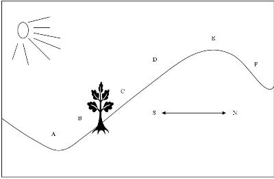 File:Garden_placemnet_and_temperature.jpg‎
