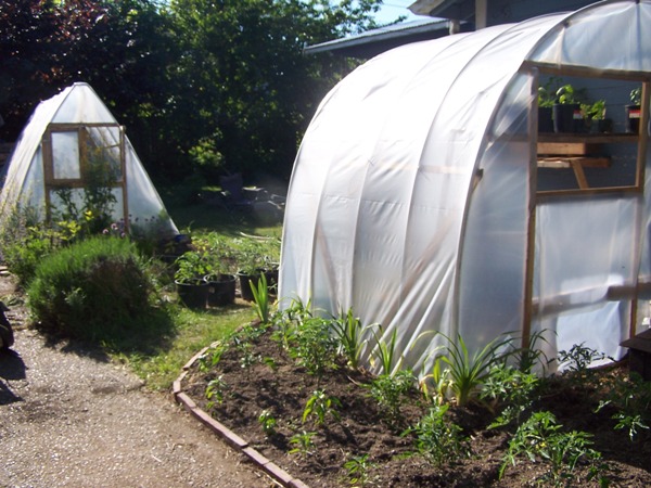 File:Greenhouse.jpg‎