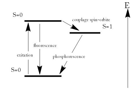 File:Fluo-phosopho.jpg