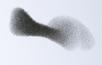 Image borrowed from http://flowingdata.com/2007/07/04/social-data-analysis-by-the-swarm/